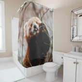 RIDEAUX DE DOUCHE CUTE KOALA BEAR (En situation)
