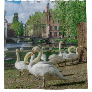 Rideaux De Douche Cygnes blancs dans le centre de Bruges