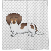 Rideaux De Douche Dachshund à poil long chocolat et tan piebalde & p (Devant)