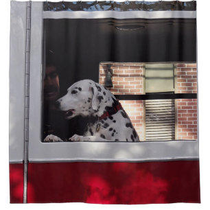 Rideaux De Douche Dalmatien dans un camion de pompiers