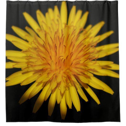 Rideaux De Douche Dandelion Flower sccna (Devant)