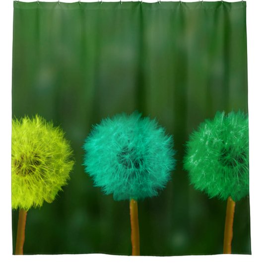 Rideaux De Douche Dandelion multicolore (Devant)