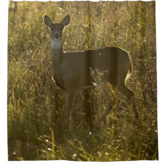 RIDEAUX DE DOUCHE DEAR CAMP 2 DOUCHE CURTAINE (Devant)