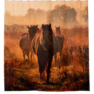 Rideaux De Douche des chevaux koniks sauvages qui sont arrivés tout
