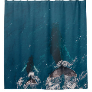 RIDEAUX DE DOUCHE DEUX BALEINES NOIRES NAGEANT DANS LE CORPS D'EAU