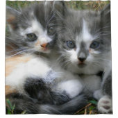 Rideaux De Douche Deux chatons (Devant)