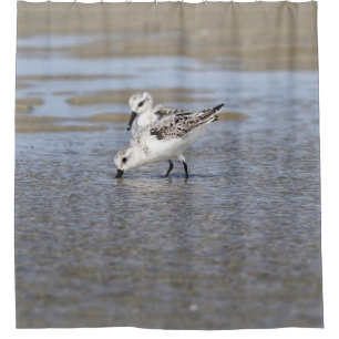 Rideaux De Douche Deux Sanderlings