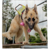 Rideaux De Douche Dingo (Devant)