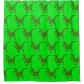 Rideaux De Douche Dinosaures (Devant)