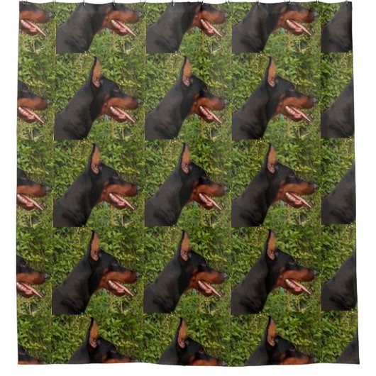 Rideaux De Douche doberman pinscher (Devant)
