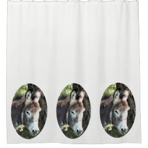 RIDEAUX DE DOUCHE DONKEY