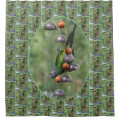 Rideaux De Douche Dusky Conure Parrot Upside Down Bird (Devant)