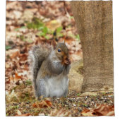 Rideaux De Douche Écureuil affamé (Devant)