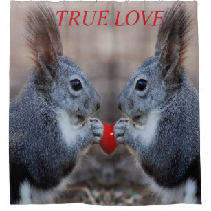Rideaux De Douche Écureuils dans l'amour
