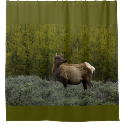 RIDEAUX DE DOUCHE ELK (Devant)