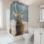 RIDEAUX DE DOUCHE ELK IN ROCKY MOUNTAIN NATIONAL PARK - ELK HERDS GR (En situation)