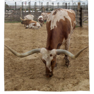 Rideaux De Douche Équipage de MOO