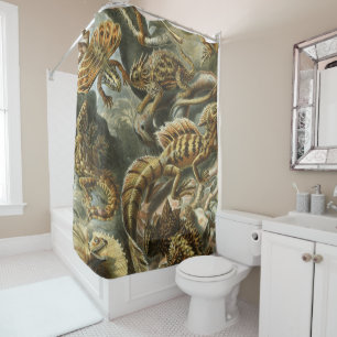 Rideaux De Douche Ernst Haeckel, ancienne illustration de mode Lacer