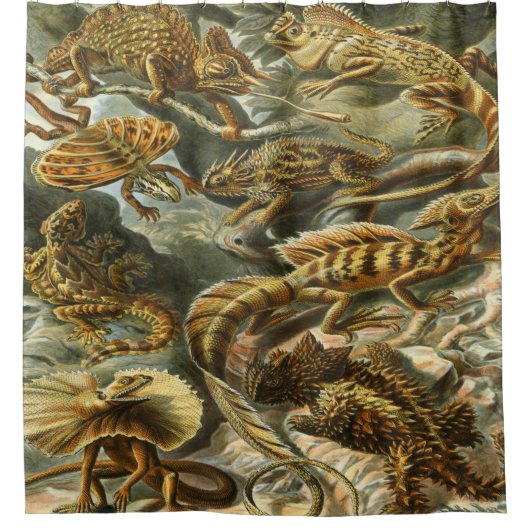 Rideaux De Douche Ernst Haeckel Art Imprimer : Lacertilia (Devant)