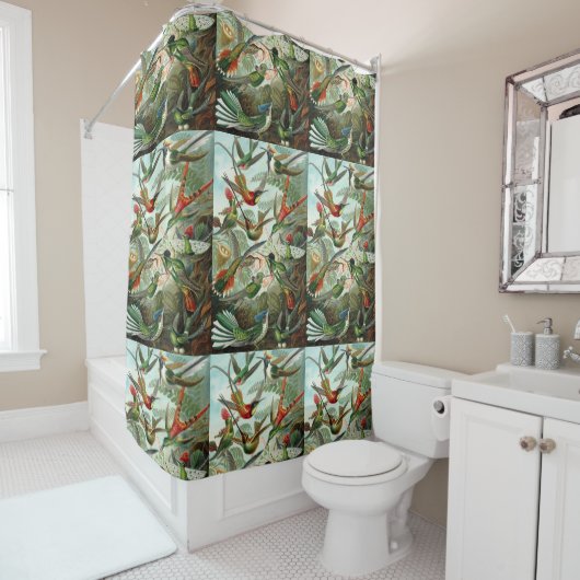 Rideaux De Douche Ernst Haeckel Hummingbirds - Art Formes de la natu (En situation)
