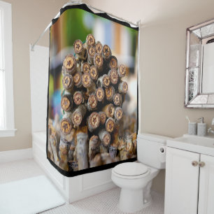 Rideaux De Douche Etoiles le long du Rio Grande Cotton Wood Trees