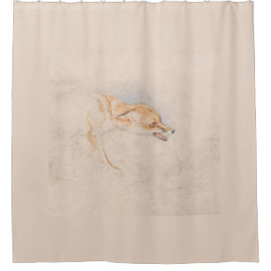 Rideaux De Douche Étude d'un renard croustillant (par John Frederick