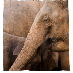Rideaux De Douche Famille des éléphants : Faune majestueuse