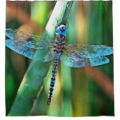 Rideaux De Douche Fantasy Dragonfly (Devant)