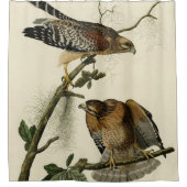 Rideaux De Douche Faucon à épaulettes - Audubon's Birds of America (Devant)