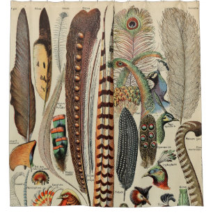 Rideaux De Douche Feather Bird Wildlife Plumes d'antiquités