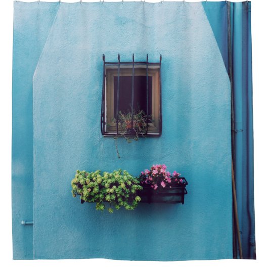 RIDEAUX DE DOUCHE FENÊTRE AVEC CADRE AU-DESSUS VERT ET ROSE PETALED  (Devant)