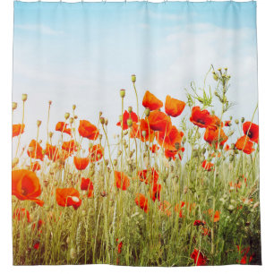 Rideaux De Douche Fermez les pavots sur le terrain. Fleurs sauvages