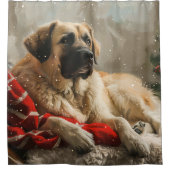 Rideaux De Douche Fête de Noël des Chiens de Berger Anatoliens (Devant)