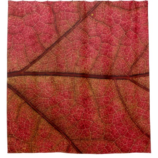 Rideaux De Douche Feuille rouge en gros plan (Devant)