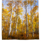 Rideaux De Douche Feuilles d'automne jaunes d'Aspen Groove (Devant)