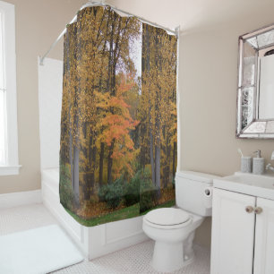 Rideaux De Douche Feuilles d'automne Tulipier Arbres