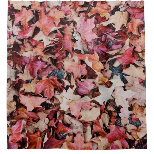 Rideaux De Douche Feuilles séchés (Devant)