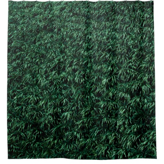 Rideaux De Douche Feuilles verts (Devant)