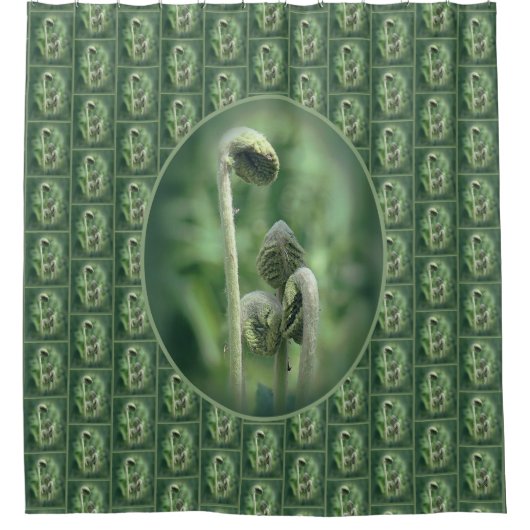 Rideaux De Douche Fiddlehead Ferns Motif naturel (Devant)