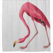 Rideaux De Douche Flamant rose (Devant)