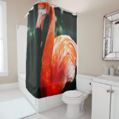 RIDEAUX DE DOUCHE FLAMANT ROSE (En situation)