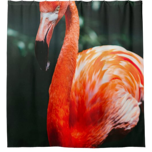 RIDEAUX DE DOUCHE FLAMANT ROSE (Devant)