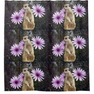 Rideaux De Douche Fleur Curieuse : Meerkat Parmi Les Marguerites Vio
