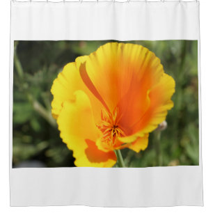 Rideaux De Douche Fleur de coquelicot californien dans un jardin