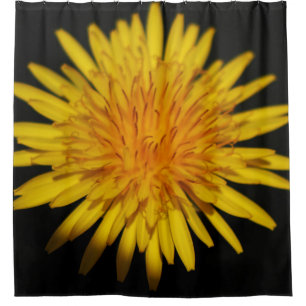 Rideaux De Douche Fleur de Dandelion