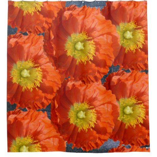 Rideaux De Douche Fleur de pavot orange orange clair (Devant)