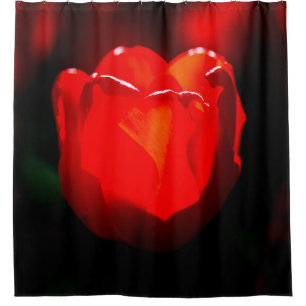 Rideaux De Douche Fleur de tulipe rouge - Feu
