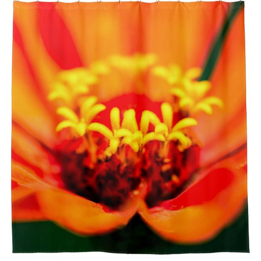 Rideaux De Douche Fleur de Zinnia - Jardin secret (Devant)