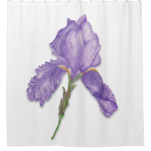 Rideaux De Douche Fleur pourpre, iris barbu simple (Devant)
