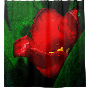 Rideaux De Douche Fleur Rouge Et Tulipe Humide